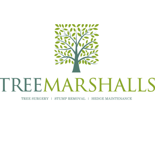 Tree Marshalls